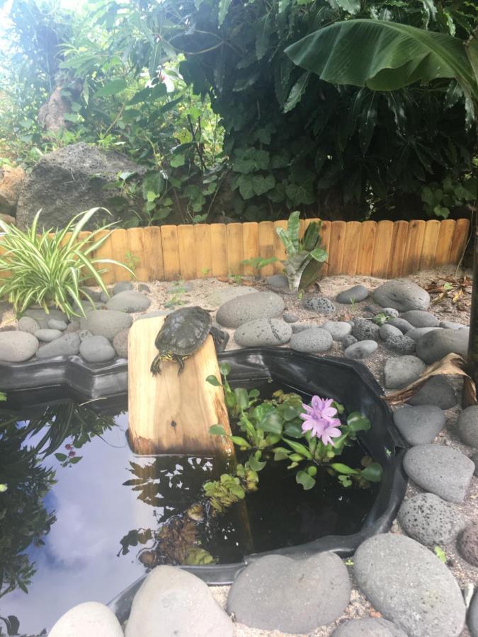 Quinta Das Almas Sao Roque do Pico Ngoại thất bức ảnh