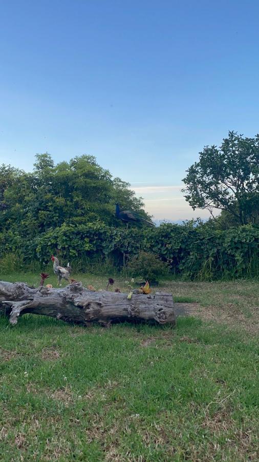 Quinta Das Almas Sao Roque do Pico Ngoại thất bức ảnh