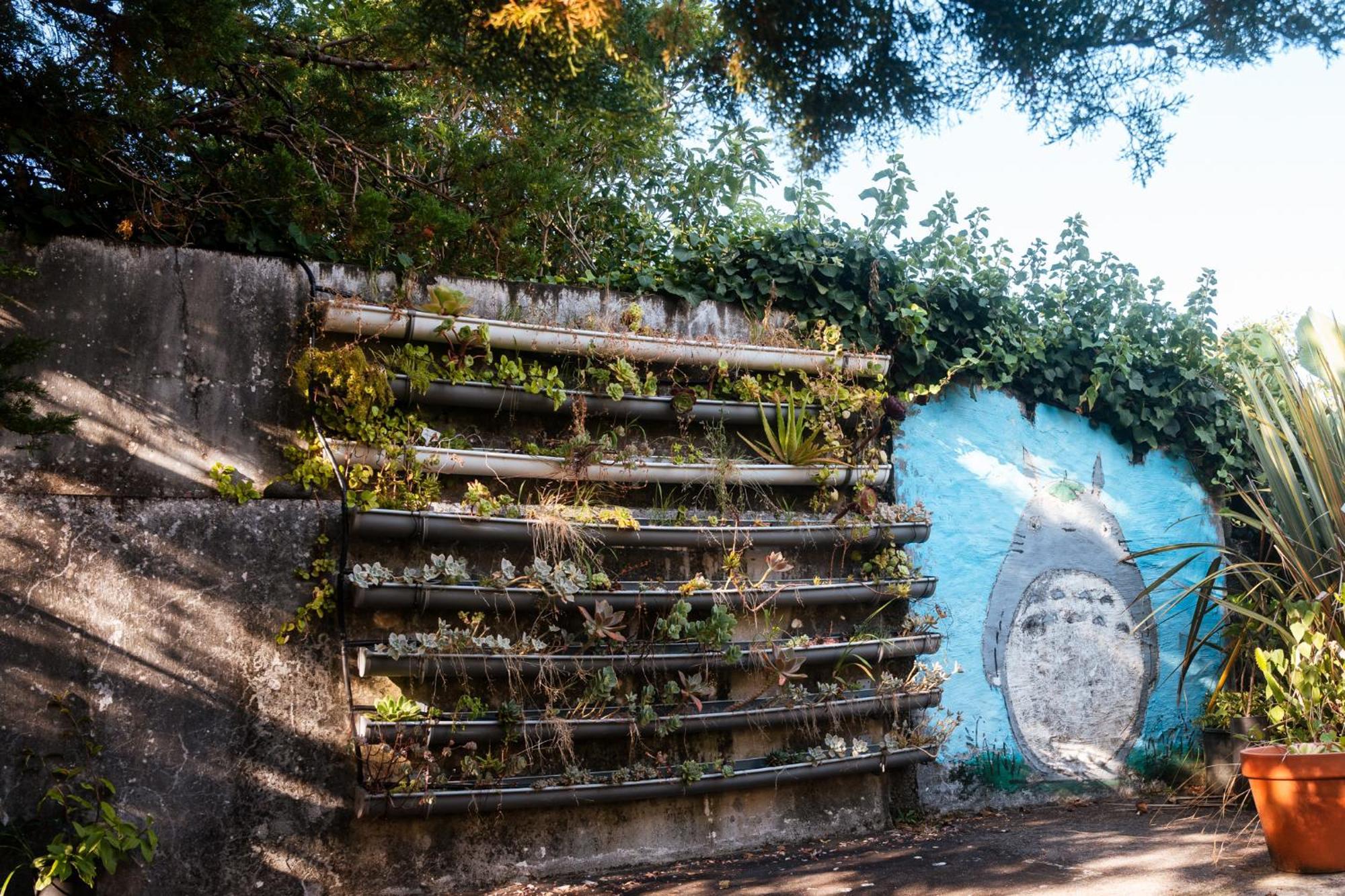 Quinta Das Almas Sao Roque do Pico Ngoại thất bức ảnh
